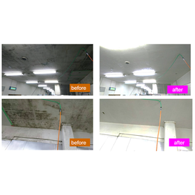 Mold Removal Work: Reducing Renovation Costs in Food Factories