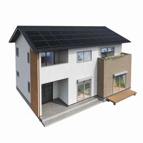 Cost-focused monocrystalline silicon type