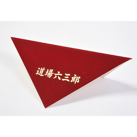 Examples of Utilizing Electrostatic Fiber Coating