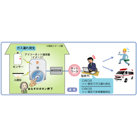 Bidirectional Information System "I2Net"