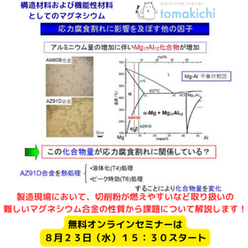 Magnesium as Structural and Functional Materials Learned from the Basics
