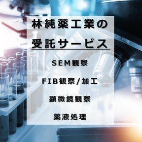 Contracted Services <Image Observation/Chemical Treatment> *Such as semiconductor substrates and LCD substrates