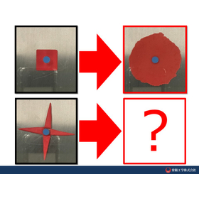 【社内実験動画】四角形に潰せるか？こむぎ粘土を潰してみました。
