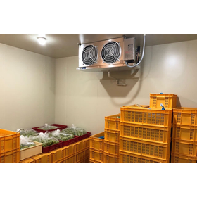 [Refrigerated ZEAS Delivery Case] Mori Fruit Orchard