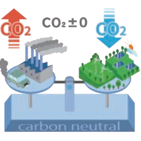 FSC-certified paper made from properly managed forest resources.