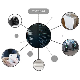 Embedded System Development (IoT)