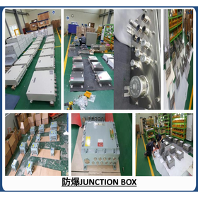 JUNCTION BOX 防爆 認証された 各種 