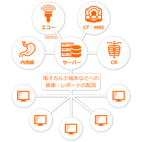 Medical Testing Database & Reporting System "GFO-V2"