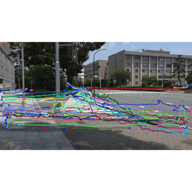 AI for analyzing the movement patterns and attributes of attendees at outdoor festivals through image and video analysis.