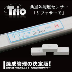 Common thermal history sensor "Refathermo"