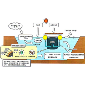 Device "Bio Water Quality Purification System"