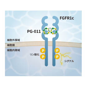 Maintenance of undifferentiated state in iPS cells