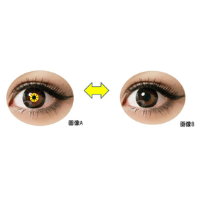 Pupil lumen