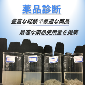 Chemical diagnosis specialized for wastewater treatment facilities.