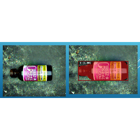 Glass Bottle AI Color Sorting Device using HALCON Vision Tracking