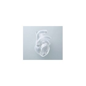 Medical model production service (custom manufacturing of organs such as the heart)