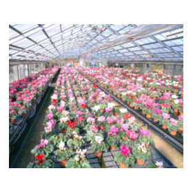 Seedling production and flowering pot plant "Kaneko HIGH & LOW PONIC"
