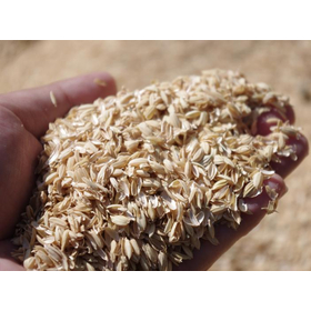 Health food ingredient "husk-derived plant-based silica (liquid and powder)"
