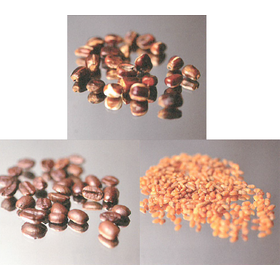 Maruyasu Sangyo Co., Ltd. "Heating Steam Roasting and Granulation" Technology Introduction