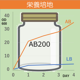 Nutrient medium for culturing Escherichia coli that shows significant proliferation.
