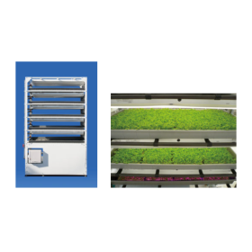 Artificial Light Multi-Stage Seedling Device "Smart Nursery"