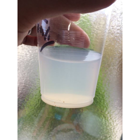 Sales of cellulose nanocrystals, manufacturing technology, and dispersion technology.