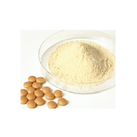 Functional food ingredient LK lactic acid bacteria rice culture product 'Rice Kefiran'