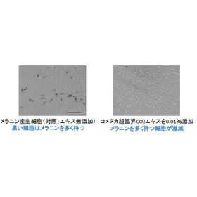 Original ingredient "Rice Bran Supercritical CO2 Extract"