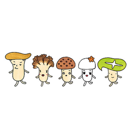 ★Announcement of HOKTO Product Giveaway Campaign★