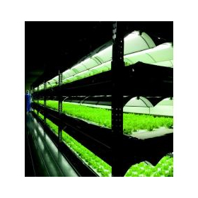 完全人工光型・水耕栽培植物工場『Vege-Factory』