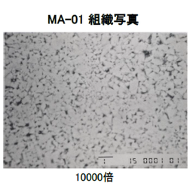 Long-life carbide MA-01 for austenitic stainless steel press molds.