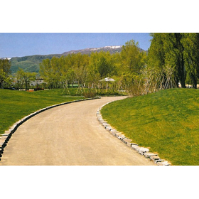 Are you experiencing any of these issues while using soil pavement materials? *Samples available.