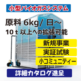 Small-scale decentralized biogas power generation system