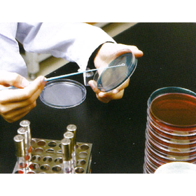 Food sector inspection and consulting services