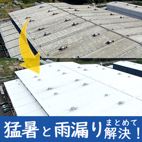 Chemical Cation Pack Method Ver.2 for Rain Leakage and Heatwave Countermeasures