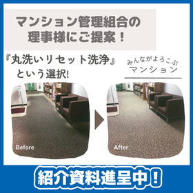 Choose the option for 'full wash reset cleaning' for your carpet! *Materials are currently being distributed.