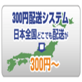 梱包発送物のコストの見直しに！日本全国300円(税別)～配送