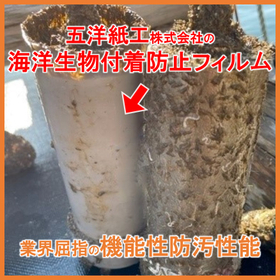 Anti-fouling film for marine organisms