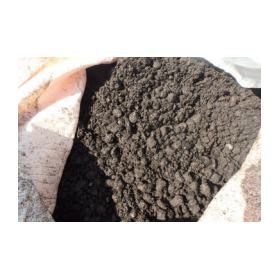 Realization of pressure-resistant foundation for street tree root systems (Ecomix)