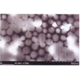 Mold Prevention Coating Agent Stop THE Mold