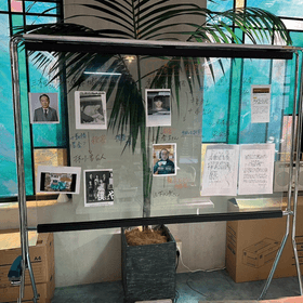 "Adjustable light film transparent whiteboard" Who saw the peacock's dance?
