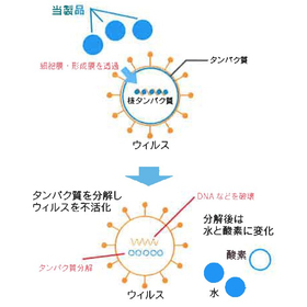 食品容器や包材の菌対策に適した『濃度安定型次亜塩素酸ナトリウム』