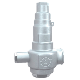 Liquid-Specific Screw-In Lift-Type Safety Valve 'LKANTAE-S'
