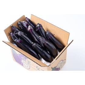 FS Elipra Moisture Barrier - For Maintaining Freshness of Easily Evaporating Fruits and Vegetables