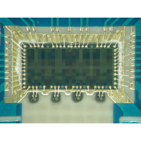 Implementation of light-emitting and light-receiving elements such as photodiodes and VCSELs (can be supported from one unit).