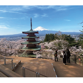 日本の景観を大切に！景色の良い所に映えスポットを作りませんか？