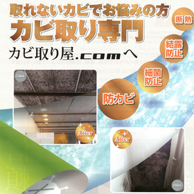 Presentation of examples of 136 types of mold removal techniques: "Site-Specific Formulation Treatment MAD Method."