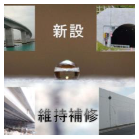 Lithium silicate-based silane composite surface impregnation water-repellent material "Dry Protect"