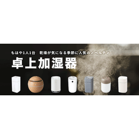 A novelty item for the season when dryness is a concern! Desktop humidifier.