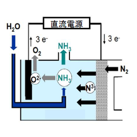 【独自技術のご紹介】アンモニア電解合成